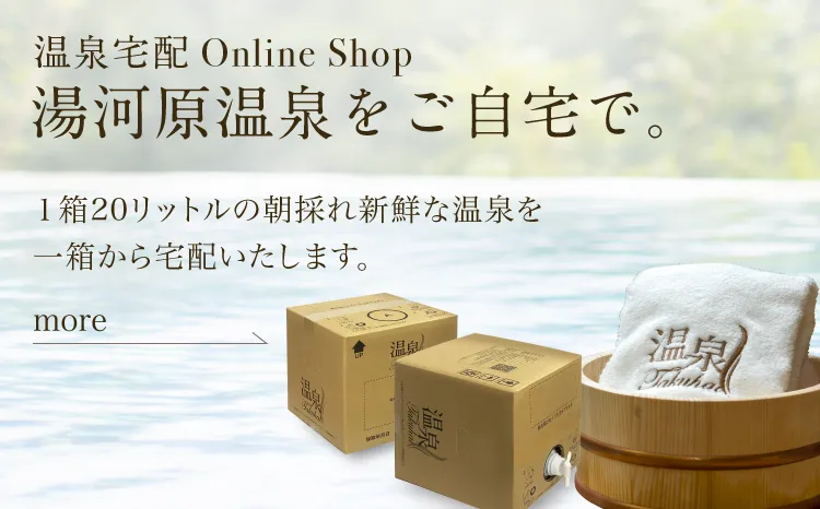 湯河原温泉をご自宅で。